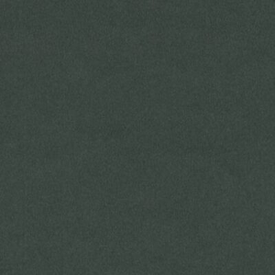 Forbo Desktop 4174 Conifer