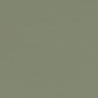 Forbo Desktop 4184 Olive