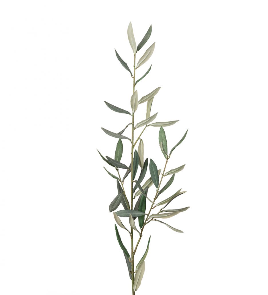 Mr. Plant Olivenkvist 50cm