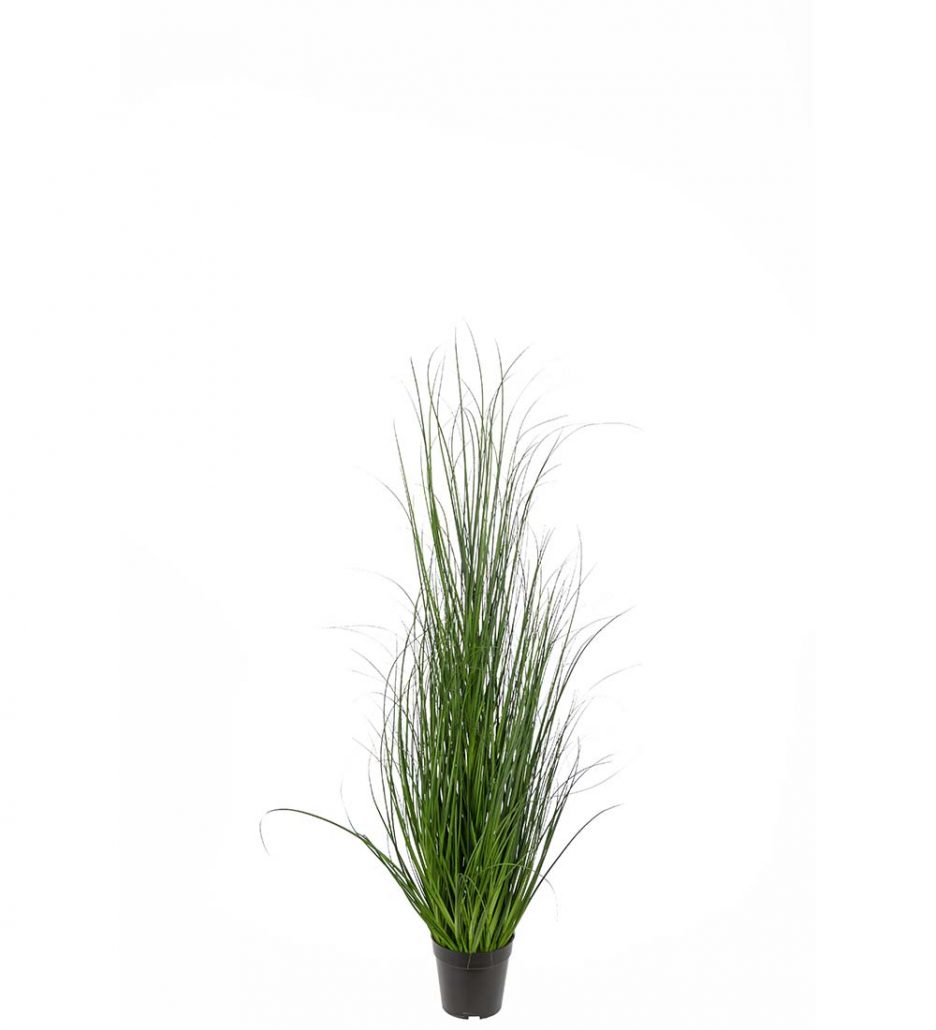 Mr. Plant Gressplante 110cm