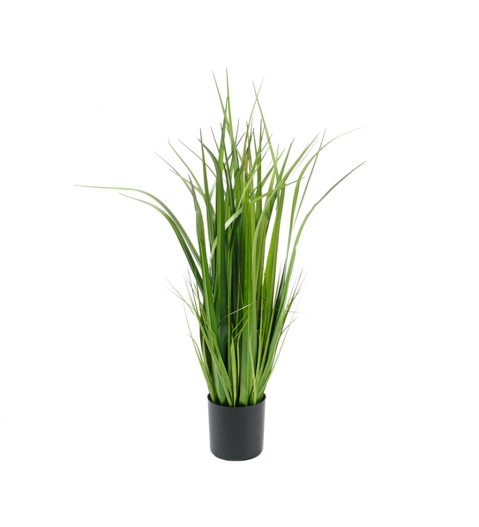 Mr. Plant Gressplante 80cm