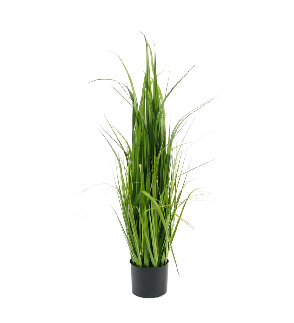 Mr. Plant Gressplante 110cm