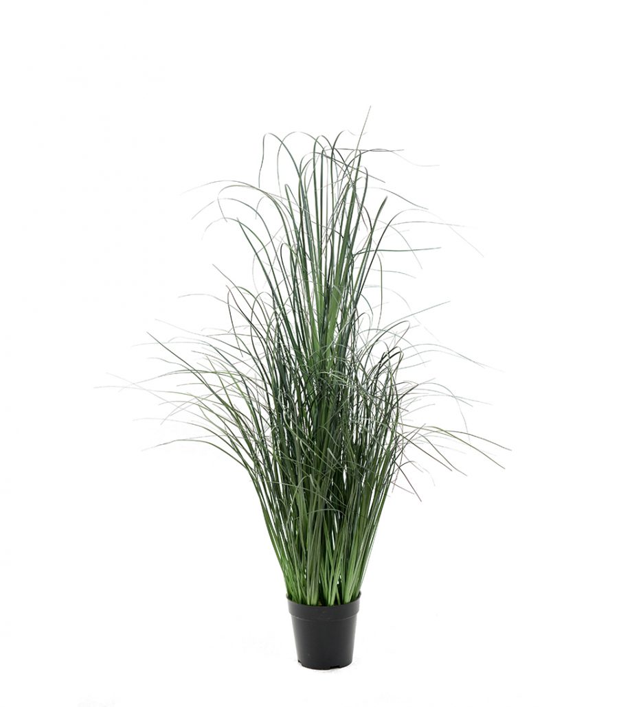 Mr. Plant Gressplante 120cm