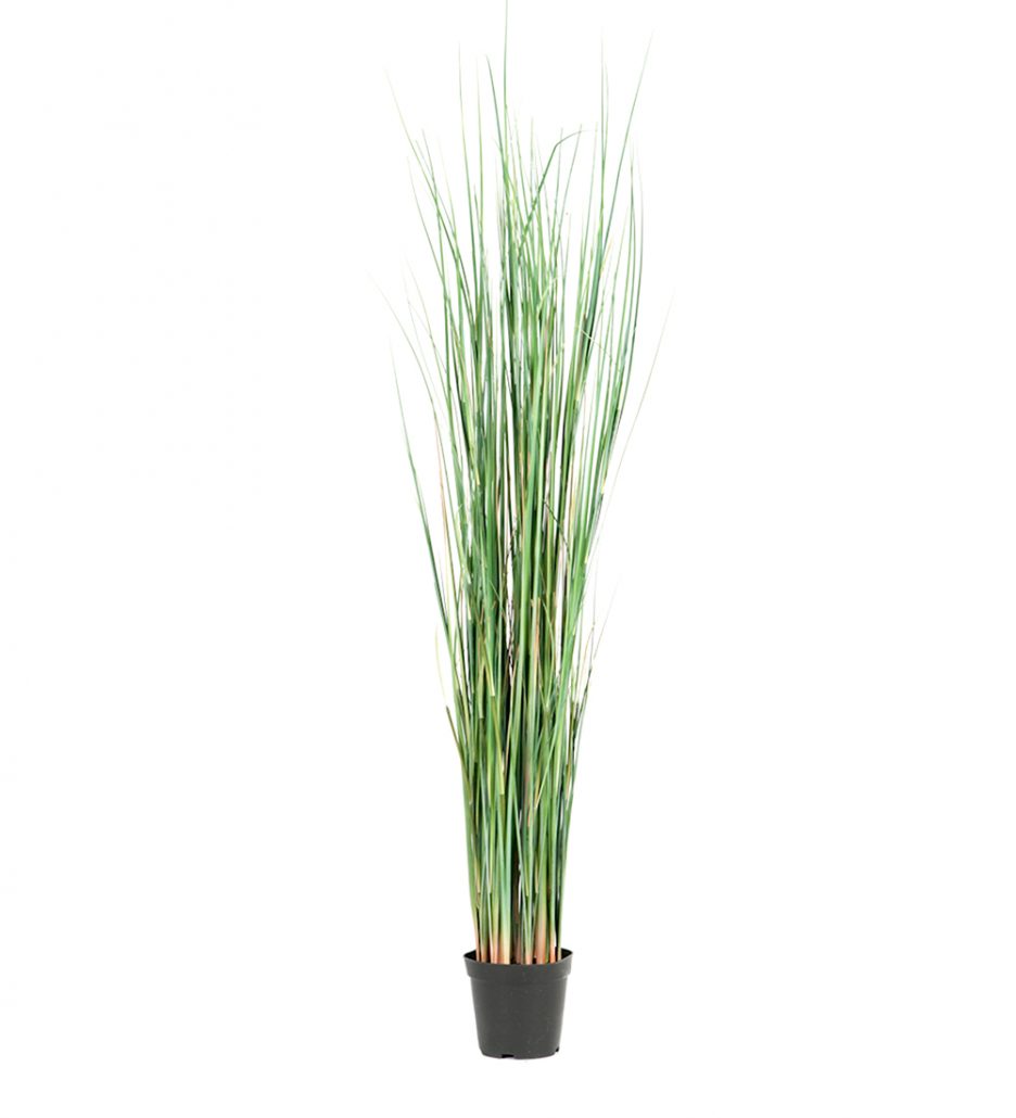 Mr. Plant Gressplante 130cm