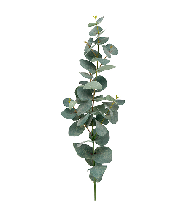 Mr. Plant Eucalyptus 75 cm