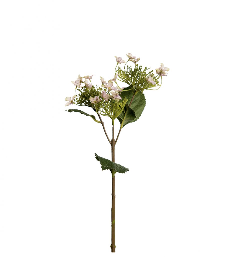 Mr. Plant Hortensia Rosa 60cm
