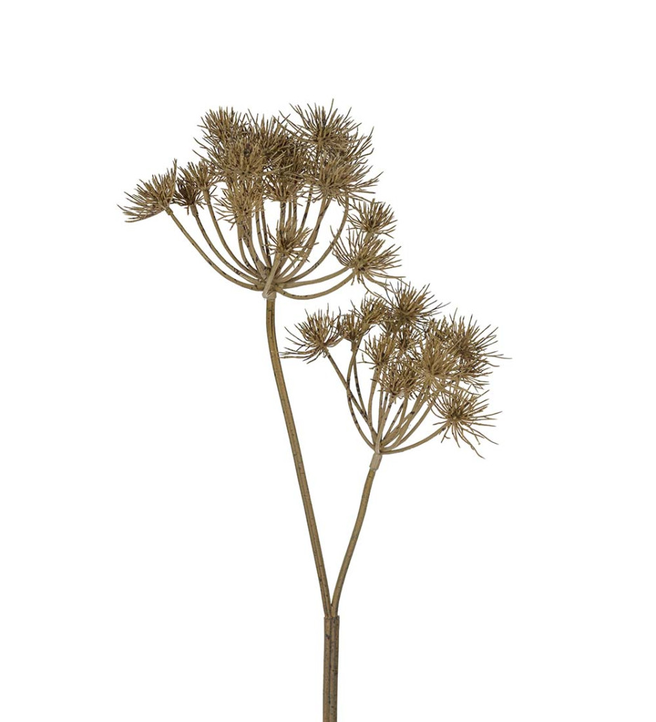 Mr. Plant Trachelium 100cm