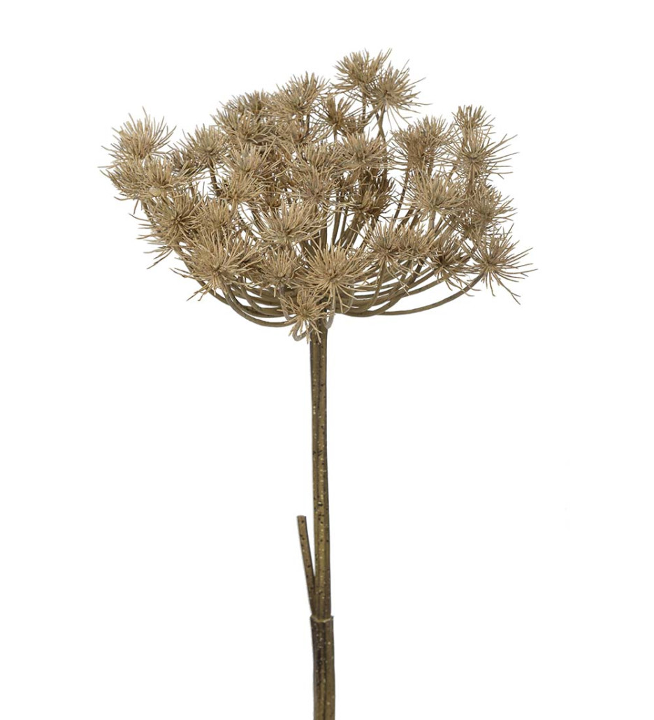 Mr. Plant Trachelium 140cm
