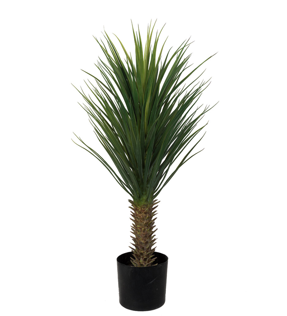 Mr. Plant Yucca Rostrata 100 cm