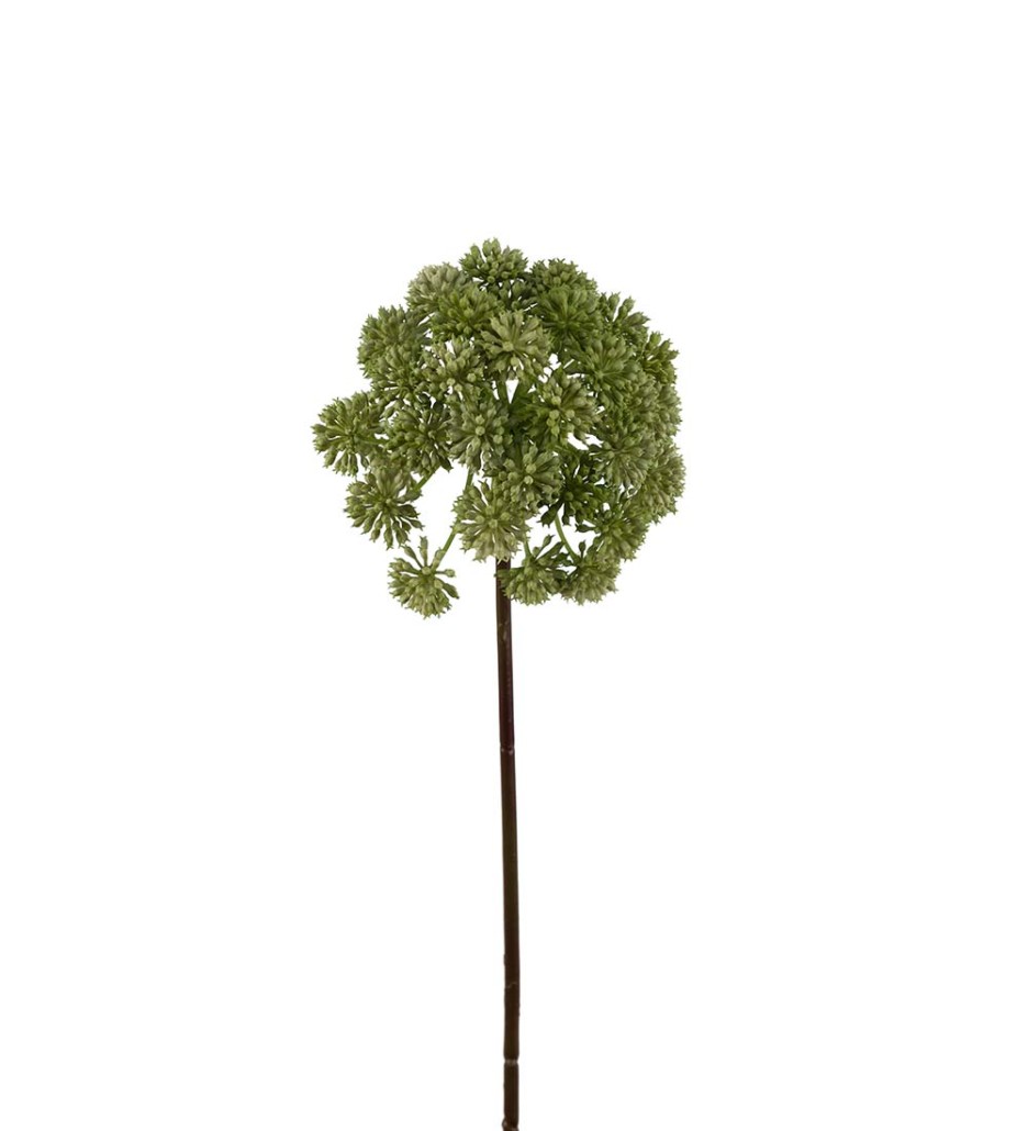 Mr. Plant Angelica 95 cm