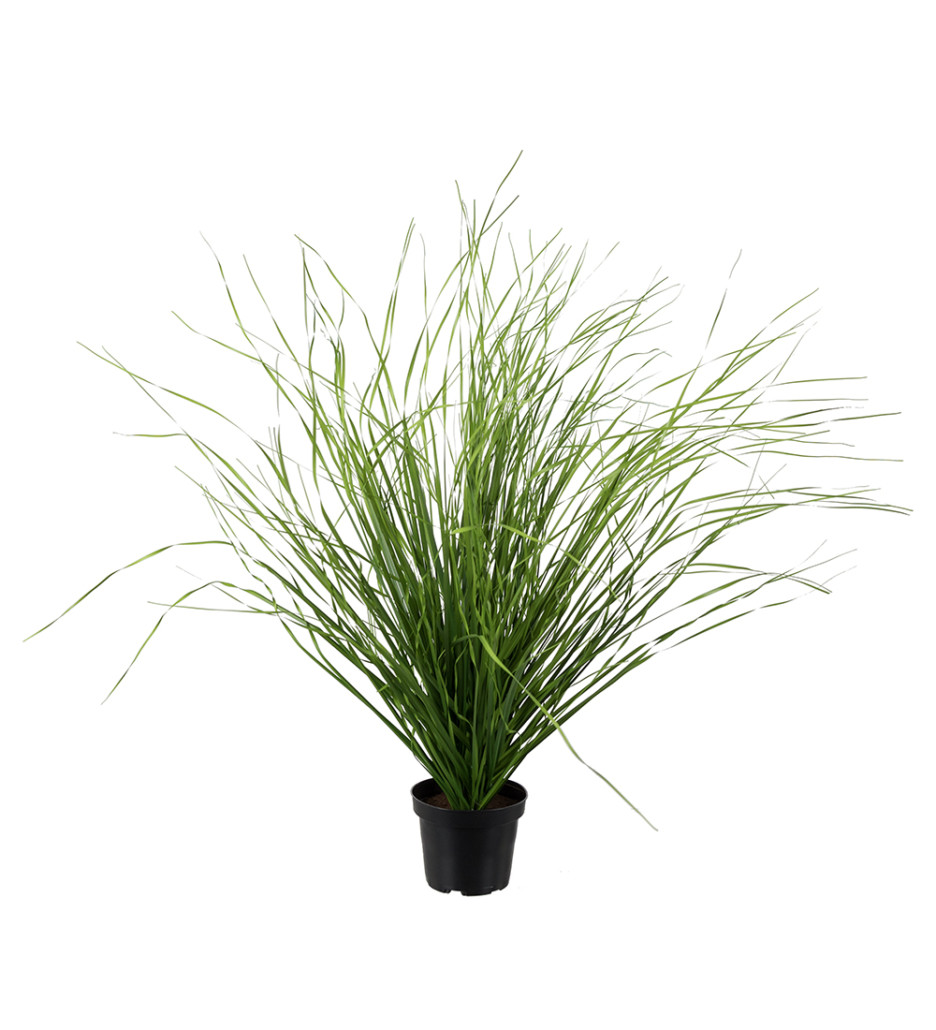 Mr. Plant Gressplante 60cm
