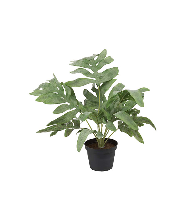 Mr. Plant Ormbunke Potte 30 cm