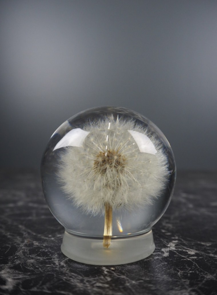 Dandelion Papirvekt – Light Bulb