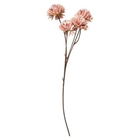 Speedtsberg - Krysantemum Rose 53cm