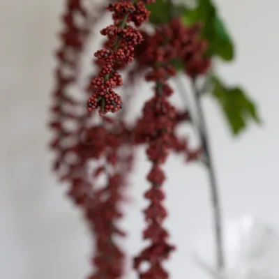Oppdag Objects Bloom sine kunstige blomster. 3D printet med fokus på bærekraftige materialer. Nydelig og naturtro Rød Amaranthus 68cm