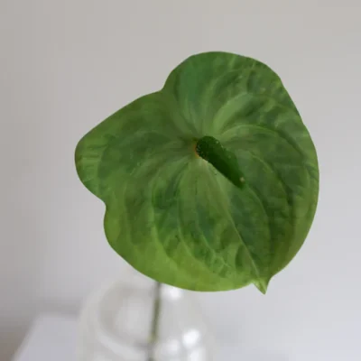 Oppdag Objects Bloom sine kunstige blomster. 3D printet med fokus på bærekraftige materialer. Nydelig og naturtro grønn Anthurium 57cm