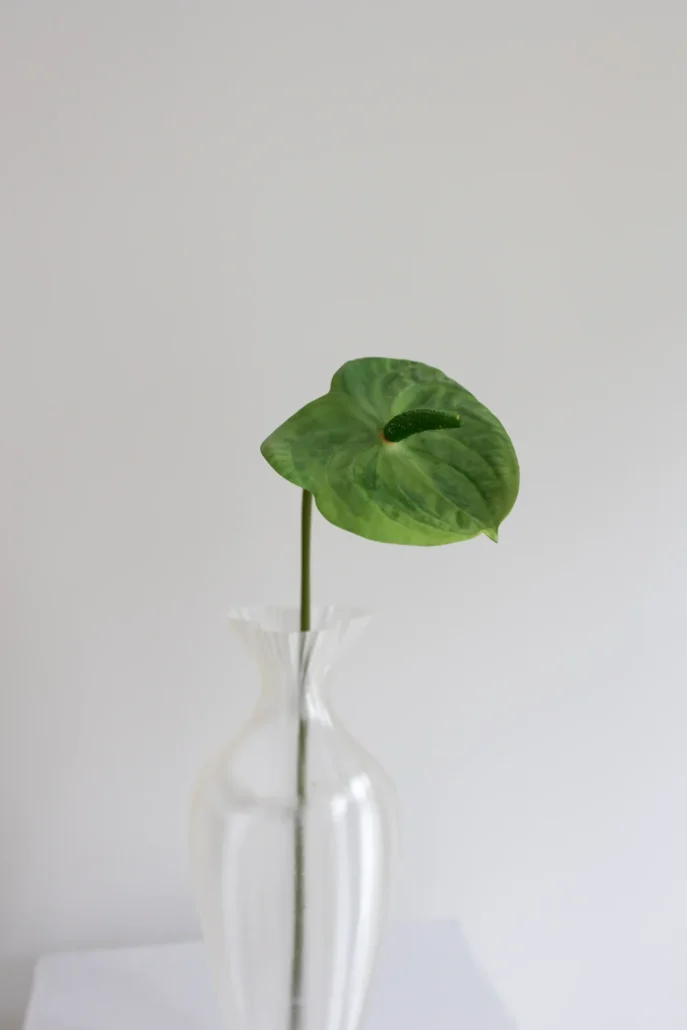 Oppdag Objects Bloom sine kunstige blomster. 3D printet med fokus på bærekraftige materialer. Nydelig og naturtro grønn Anthurium 57cm