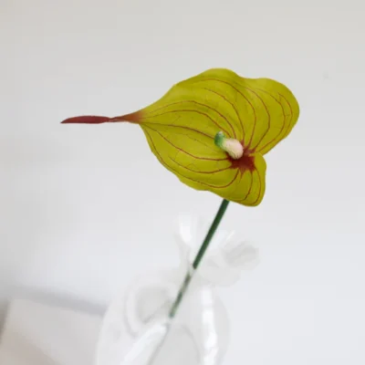 Oppdag Objects Bloom sine kunstige blomster. 3D printet med fokus på bærekraftige materialer. Nydelig og naturtro grønn/rød Anthurium 50cm