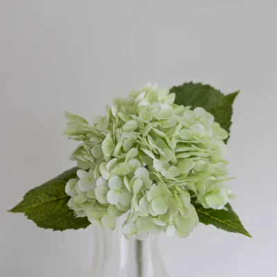 Oppdag Objects Bloom sine kunstige blomster. 3D printet med fokus på bærekraftige materialer. Nydelig og naturtro lys grønn Hortensia 51cm