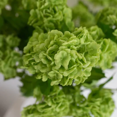 Nydelig kunstig Hortensia fra Bloom Objects