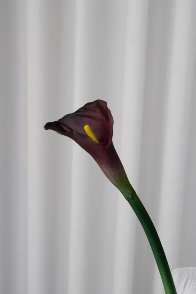 Oppdag Objects Bloom sine kunstige blomster. 3D printet med fokus på bærekraftige materialer. Nydelig og naturtro Rød Calla Lily Bordeaux 66cm