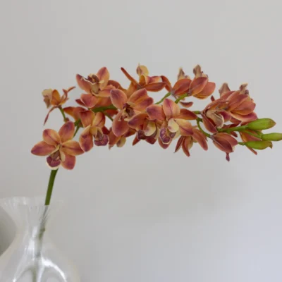 Bloom Objects - Nydelig kunstig oransje Cymbidium. Kunstig blomst - 81cm