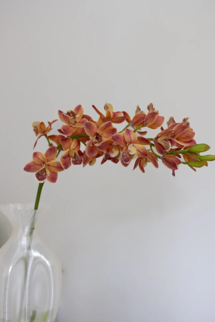 Bloom Objects - Nydelig kunstig oransje Cymbidium. Kunstig blomst - 81cm