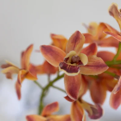 Nydelig kunstig Cymbidium - Oransje, 81cm fra Bloom Objects
