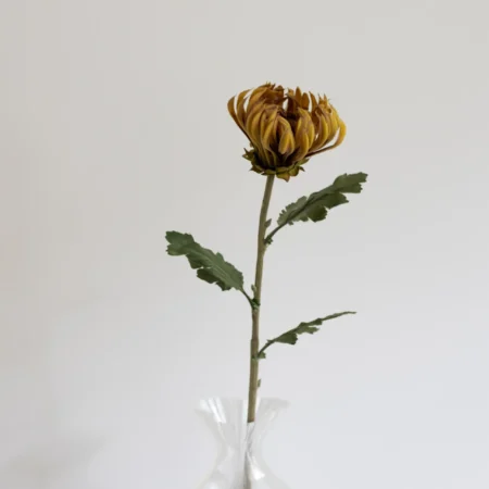 Oppdag Objects Bloom sine kunstige blomster. 3D printet med fokus på bærekraftige materialer. Nydelig og naturtro gul Kaktus Dahlia 60cm