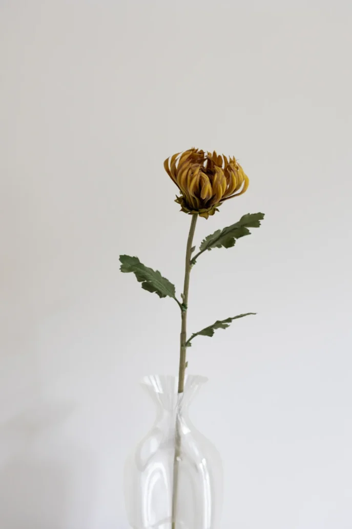 Oppdag Objects Bloom sine kunstige blomster. 3D printet med fokus på bærekraftige materialer. Nydelig og naturtro gul Kaktus Dahlia 60cm