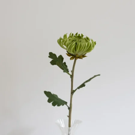 Oppdag Objects Bloom sine kunstige blomster. 3D printet med fokus på bærekraftige materialer. Nydelig og naturtro grønn Kaktus Dahlia 60cm