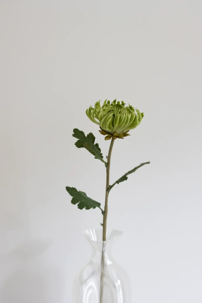Oppdag Objects Bloom sine kunstige blomster. 3D printet med fokus på bærekraftige materialer. Nydelig og naturtro grønn Kaktus Dahlia 60cm