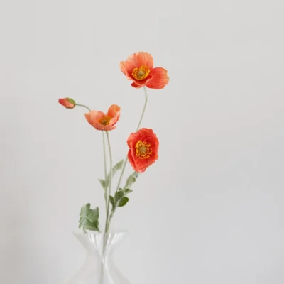 Oppdag Objects Bloom sine kunstige blomster. 3D printet med fokus på bærekraftige materialer. Nydelig og naturtro Rød Valmue 60cm