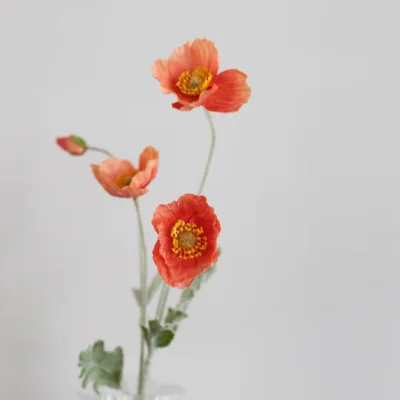 Oppdag Objects Bloom sine kunstige blomster. 3D printet med fokus på bærekraftige materialer. Nydelig og naturtro Rød Valmue 60cm